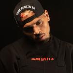 artist image Chris Brown Zero Royalty (Deluxe Version)