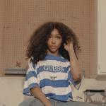 artist image SZA The Weekend (Feat. Calvin Harris) Ctrl
