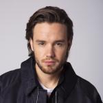 artist image Liam Payne, J. Balvin Familiar Familiar - Single