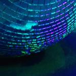 artist image Gruppa Skryptonite Podruga Solitude - EP