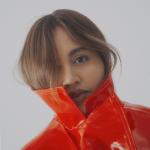 artist image Jessica Mauboy feat. Jay Sean What Happened to Us Get 'Em Girls