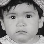 artist image Remixed by DedeSabunge Baby Shark Diamond Princessa 