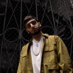 artist image Xcho Dollar (Shavoyan remix) CROSS