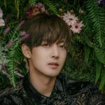 artist image Because I'm Stupid Acoustic Version 내 머리가 나빠서 (From 