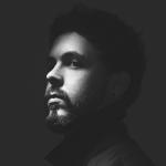 artist image Phaseone feat. Shane Told of Silverstein Enemy [ vk.com/hard_electro_music ] Enemy (feat. Shane Told) - Single