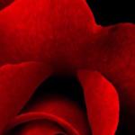 artist image Techno Project, Geny Tur Arabic Bass Arabic Bass - Single
