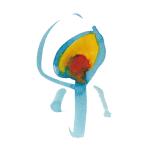 artist image Nujabes reflection eternal Modal Soul