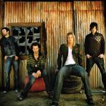 artist image Puddle Of Mudd Bottom Life On Display (UK / Japan Version)