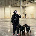 artist image Roshi feat. LMB Demi tarifé Demi tarifé