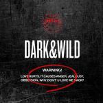 album image 힙합성애자 (Hip-Hop Phile / Hip-Hop Lover) DARK&WILD