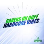 album image Hardcore Vibes [Original Mix] Hardcore Vibes - Single