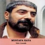 album image Fikrimin Ince Gülü Sisler Arasında
