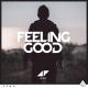 Avicii, Audra Mae, Nina Simone - Feeling Good [Cover]