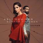 album image Gokhan Turkmen & Aslı Demirer Korkak 2015 FULL HQ Korkak (feat. Gökhan Türkmen) - Single