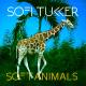 Sofi Tukker - Matadora