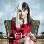 album image Bir Bilebilsen Bir Bilebilsen - Single