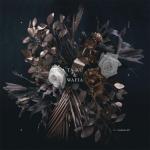 album image Love Somebody (M) Edian - EP