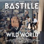 album image Fake It Wild World