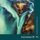 Lycoriscoris - Drop (Jody Wisternoff & James Grant Edit)