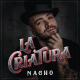 Nacho - Báilame