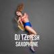 Dj TZepesh - Dj TZepesh-Saxophone (Original Track)