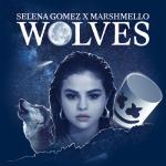 album image Wolves Wolves - Single