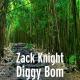 Jasmin Walia, Zack Knight - Bom Diggy
