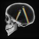 Axwell and Ingrosso feat. Trevor Guthrie - Dreamer