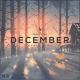 Halcyon - December