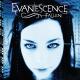 Natalia Tsarikova - Evanescence- My immortal (cover by Natalia Tsarikova)