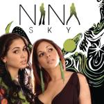 album image Uzun Ince Bir Yoldayim (DJ Birol Remix) Nina Sky