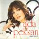 AJDA PEKKAN - Bambaşka biri -- I WILL SURVIVE TURKISH VERSION [event dj – vk.com/corporatedj]