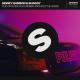 Sidney Samson, Shaggy feat. Bobso Architect, Hosai - The Officer