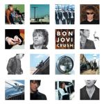 album image It's My Life (Версия для клипа) Crush