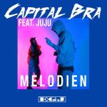album image Melodien Melodien (feat. Juju) - Single