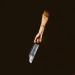 album image Flesh N / O / I / S / E
