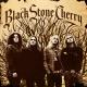 Black Stone Cherry - Rain Wizard
