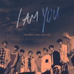 album image N/S I am YOU