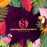 album image Color Color (feat. DJ Funky C) - Single