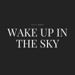 album image Wake Up In The Sky Wake Up In the Sky - Single