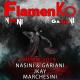Ivan Nasini, Danilo Gariani - Flamenko