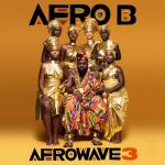 album image Shape Nice Afrowave 3