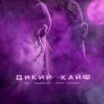 album image Дикий кайф Дикий кайф - Single