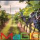 Formatia Magic - Cintec De Gluma