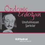 album image Sevdim Seni Bir Kere Unutulmayan Şarkılar