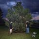 100 gecs, Laura Les, Dylan Brady - ringtone