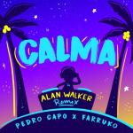 album image Calma (Alan Walker Remix) Calma (Alan Walker Remix) - Single
