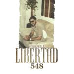 album image Get Ready (feat. Blake Shelton & Joe Perry) Libertad 548