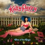 album image I Kissed A Girl One of the Boys