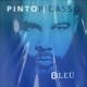 Pinto Picasso - Paris (Bachata 31 bpm)